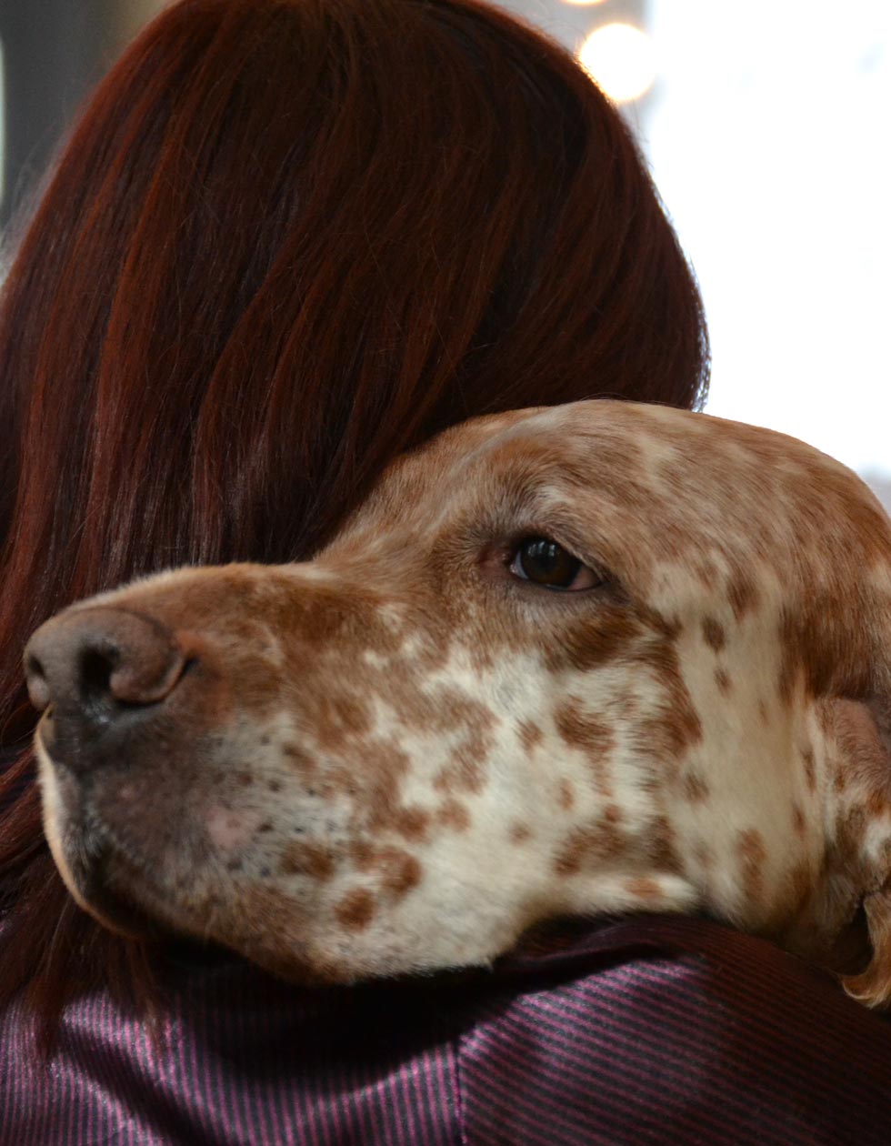 Hunde-Salon